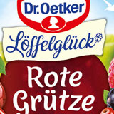 DR. OETKER Fruchtgrütze 176